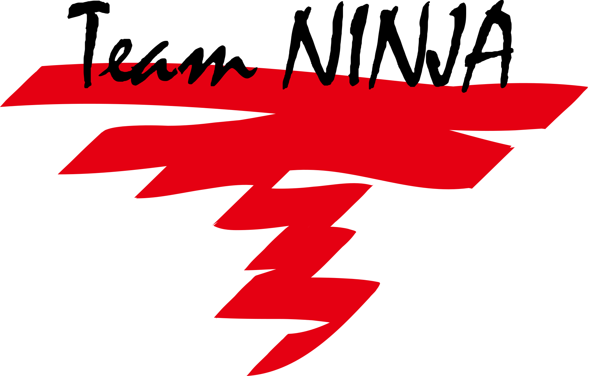 Team_Ninja.svg